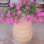 Apartment Panos Skala Sotiros