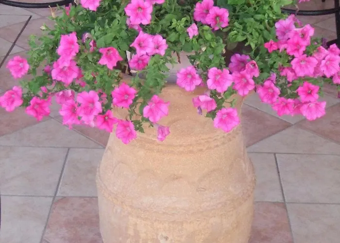 Apartment Panos Skala Sotiros